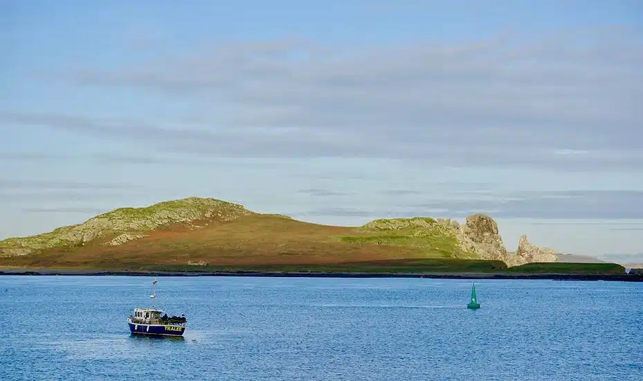Ireland's Eye SUP Tour